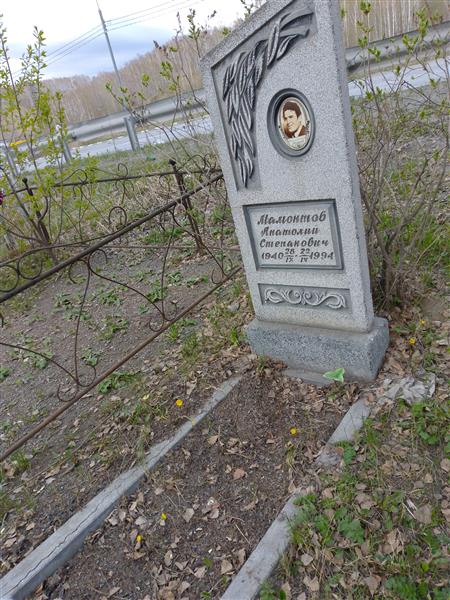 Мамонтов Анатолий Степанович