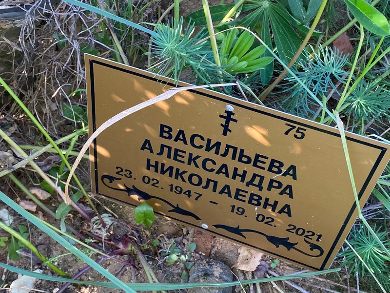 Васильева Александра Николаевна