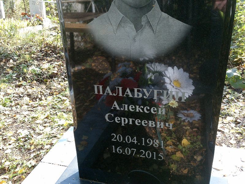 Палабугин