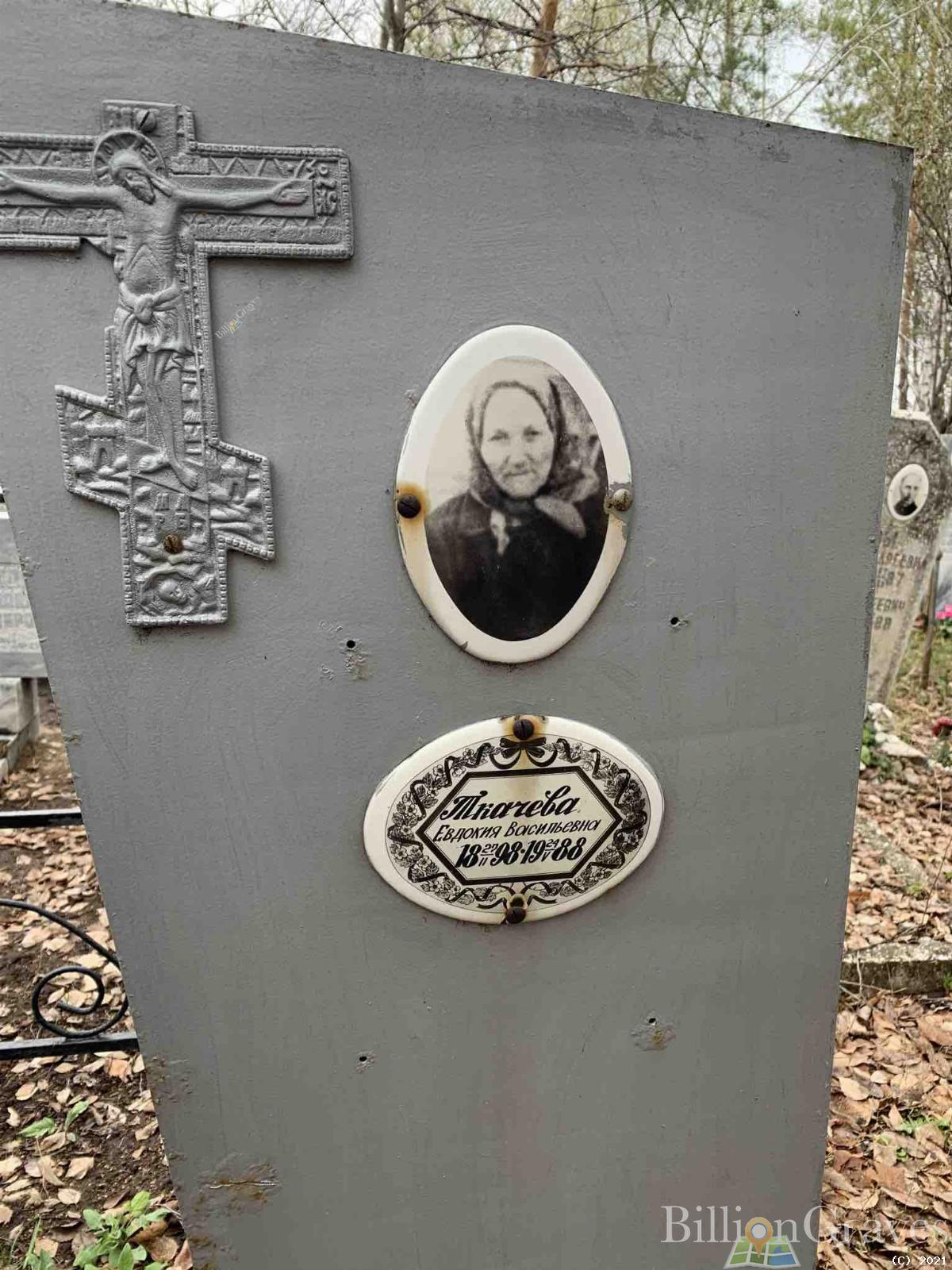 Ткачева Евдокия Васильевна
