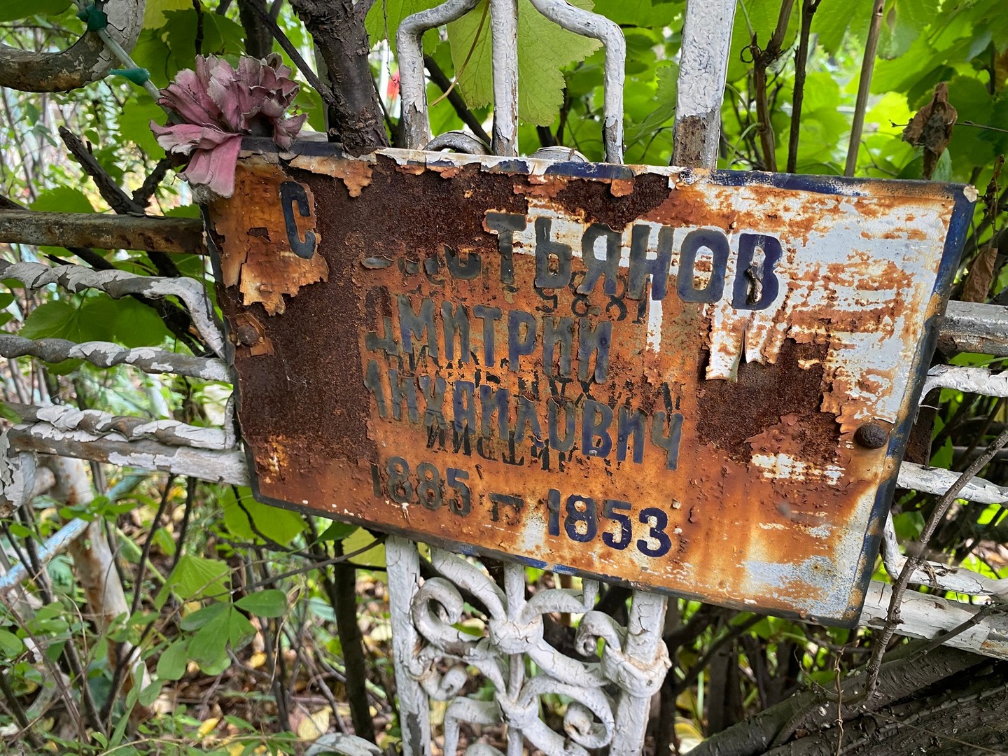 Дмитрий