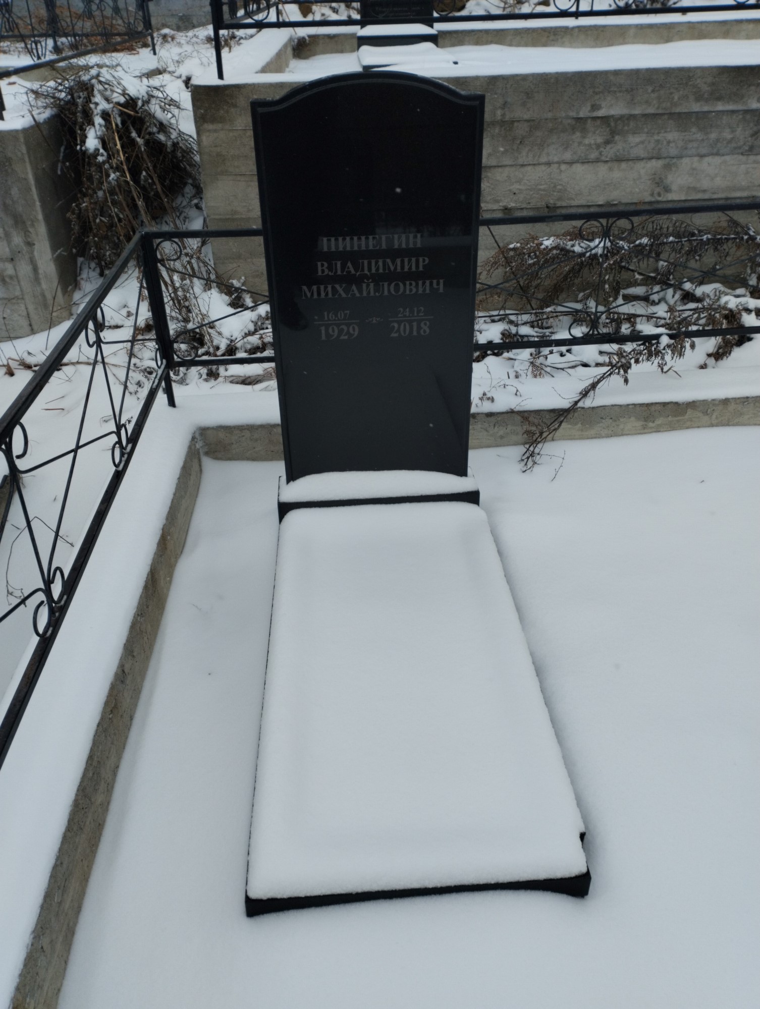 Пинегин Владимир Михайлович
