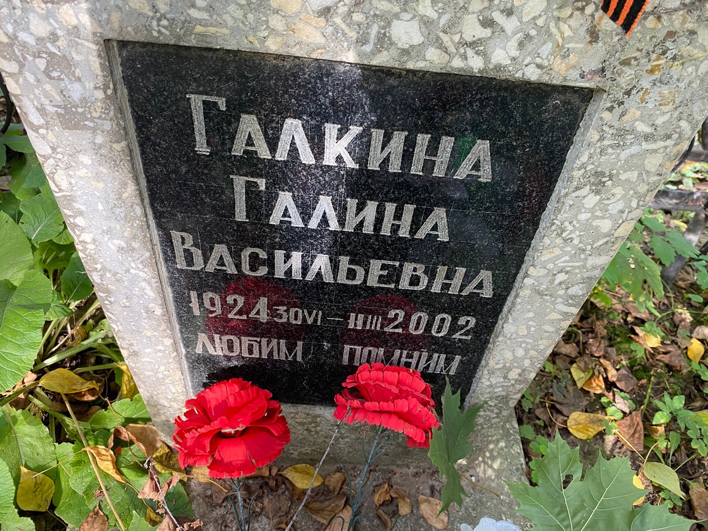 Галкина