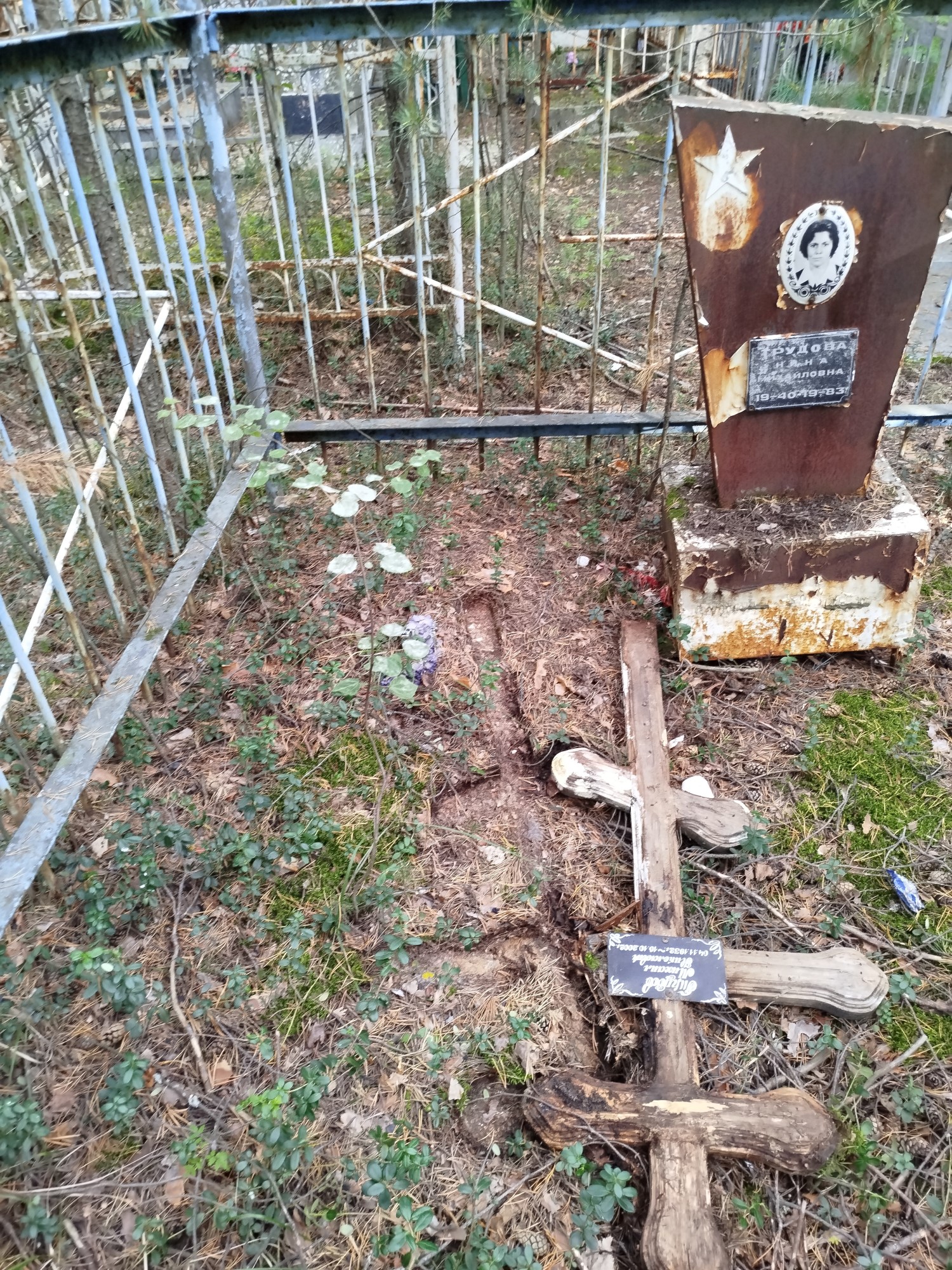 Трудов Михаил Николаевич