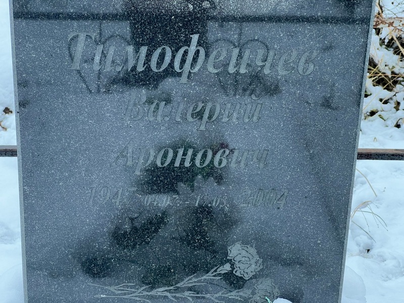 Тимофеичев