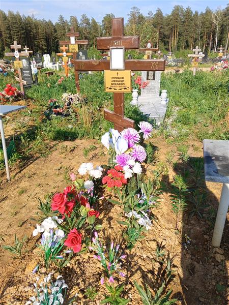 Стриганов Александр Витальевич