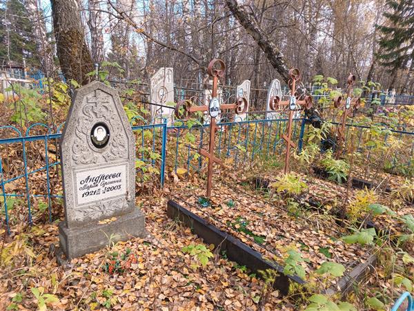 Андреева Мария Сергеевна