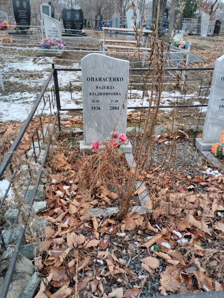 Опанасенко Надежда Владимировна
