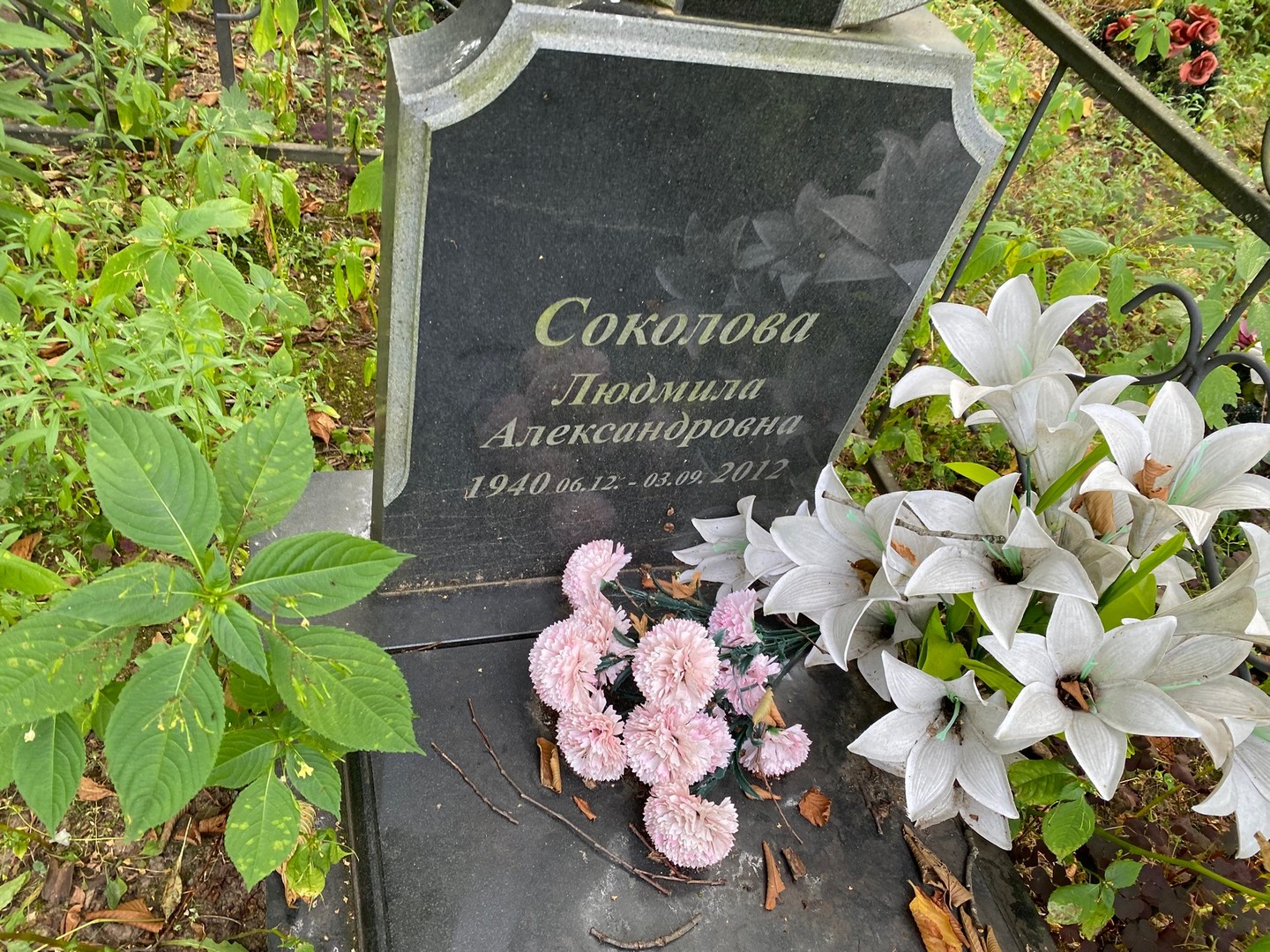 Соколова