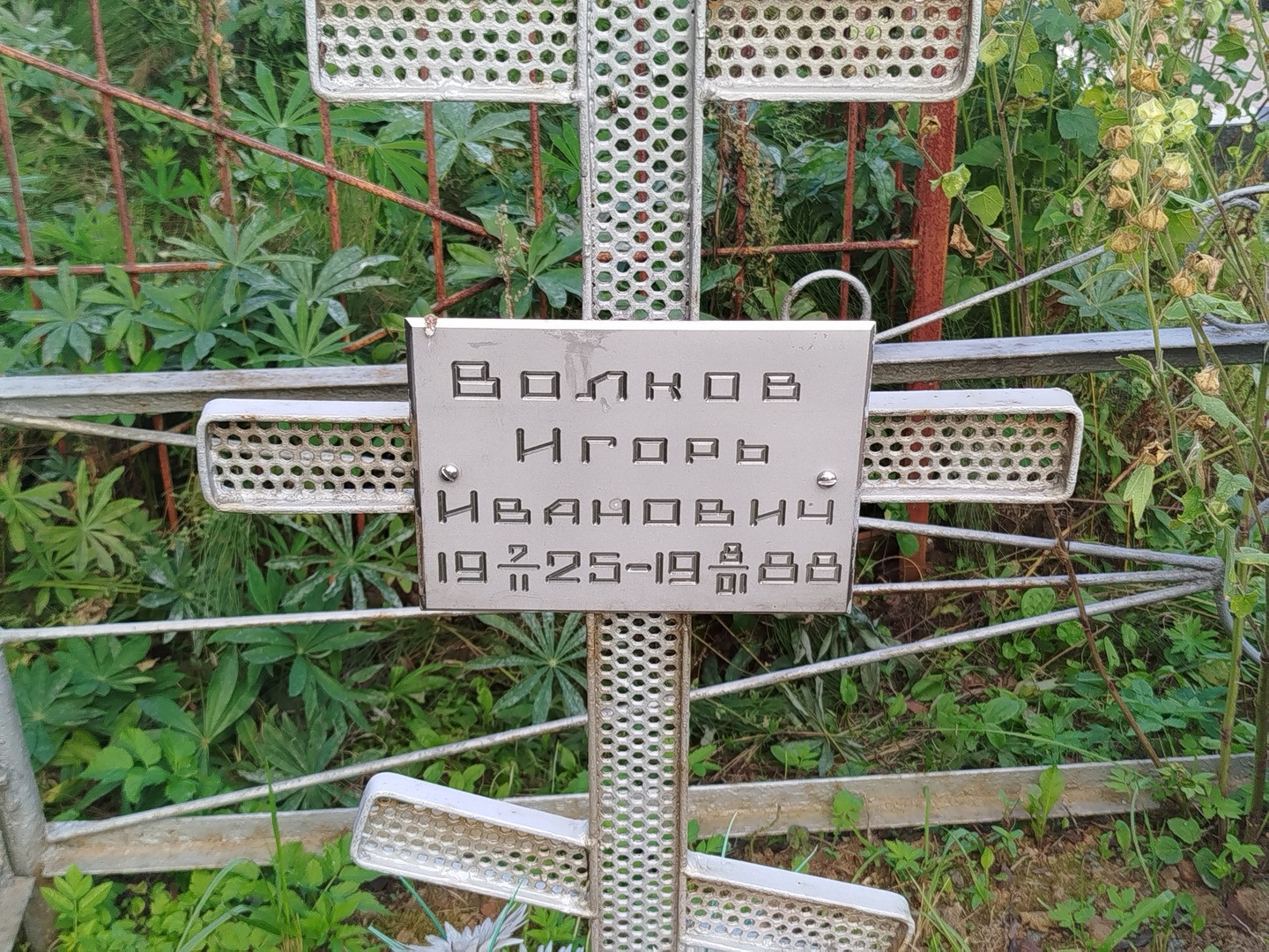 Волков