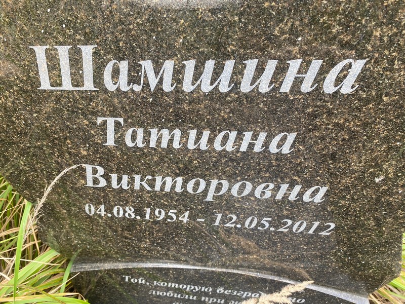 Шамшина
