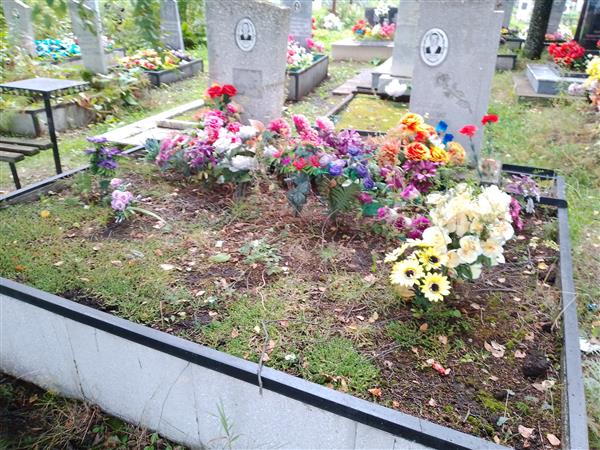 Конкина Надежда Васильевна