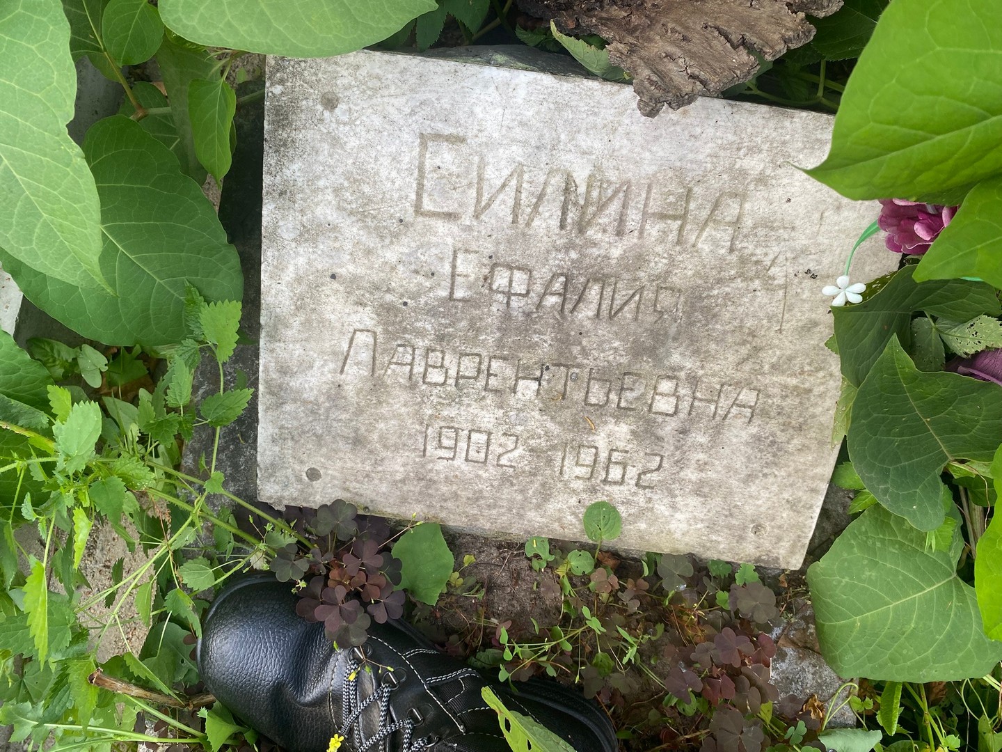 Ефалия Силина Лаврентьевна