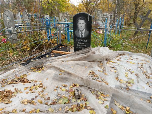 Мартюшев Александр Николаевич