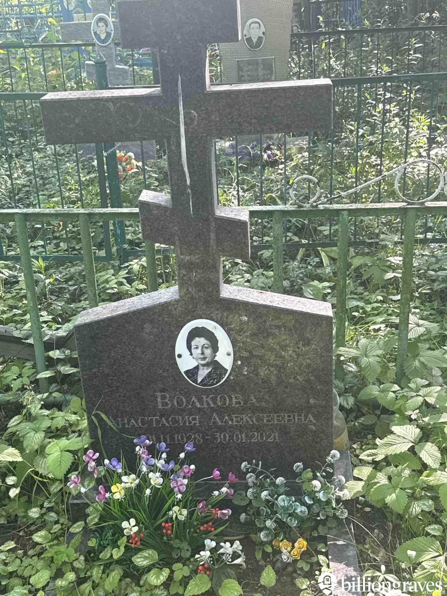Волкова Анастасия Алексеевна
