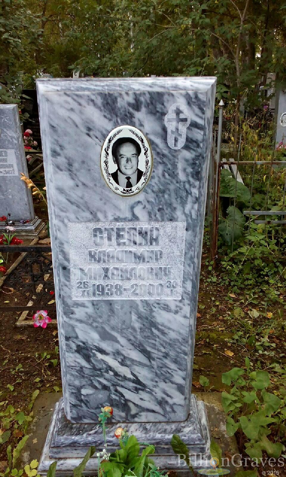Стёпин Владимир Михайлович