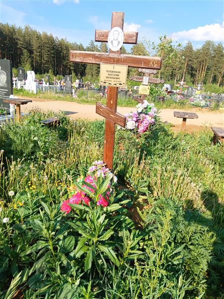 Половинкин Анатолий Васильевич