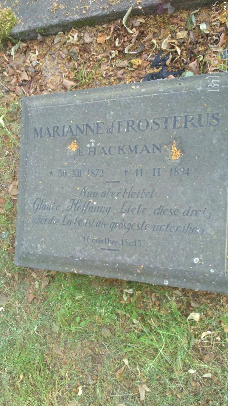 Frosterus Marianne