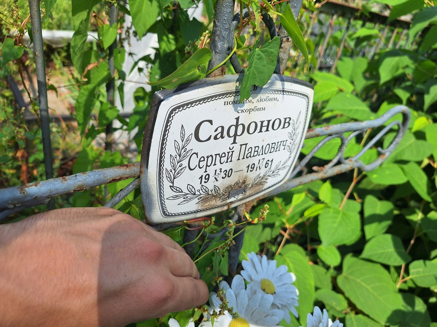 Сафонов