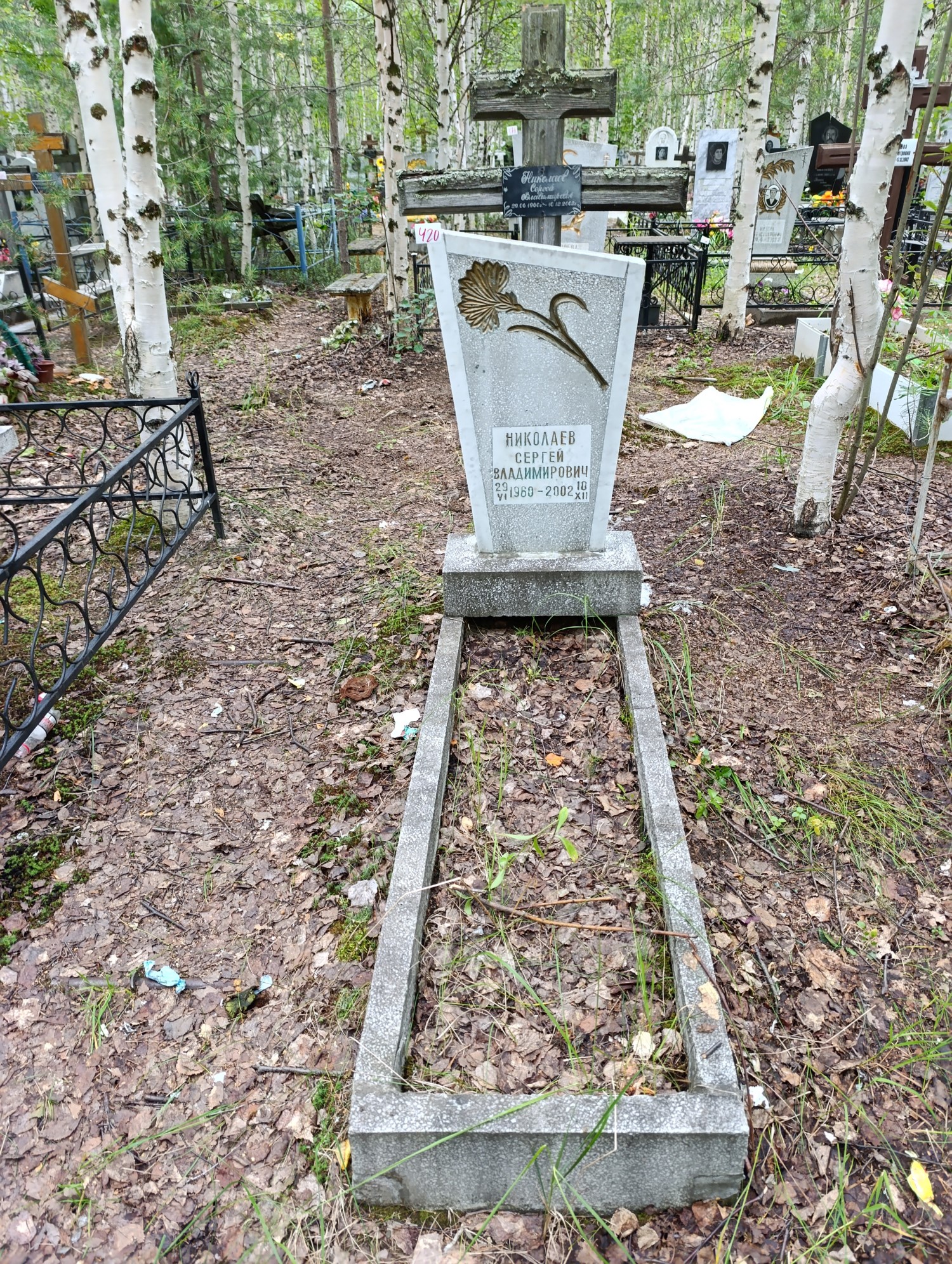 Николаев Сергей Владимирович