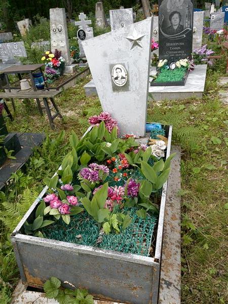 Степанов Георгий Васильевич