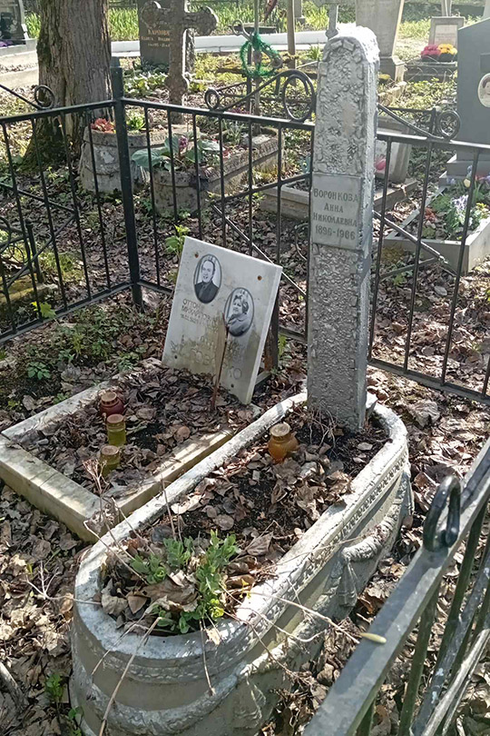 Воронкова Анна Николаевна