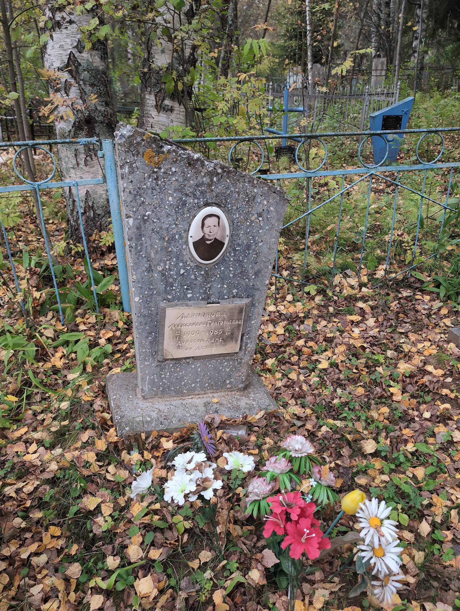 Ларионова Александра Григорьевна