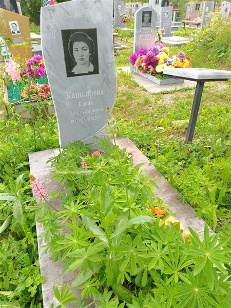 Кашкарова Елена Владимировна