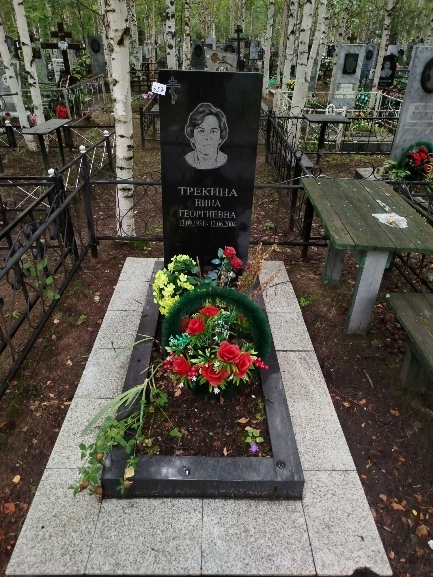 Трекина Нина Георгиевна