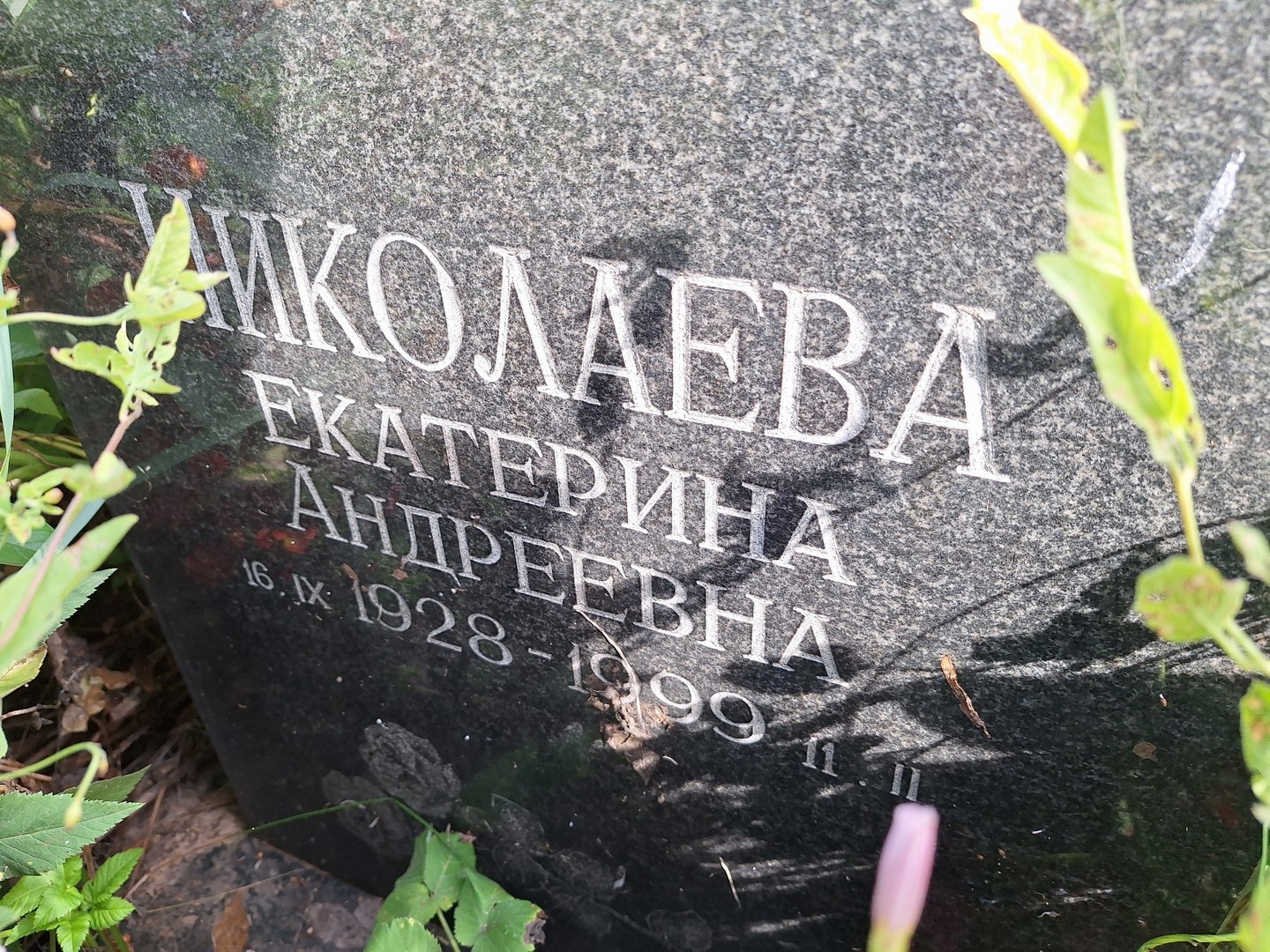 Николаева