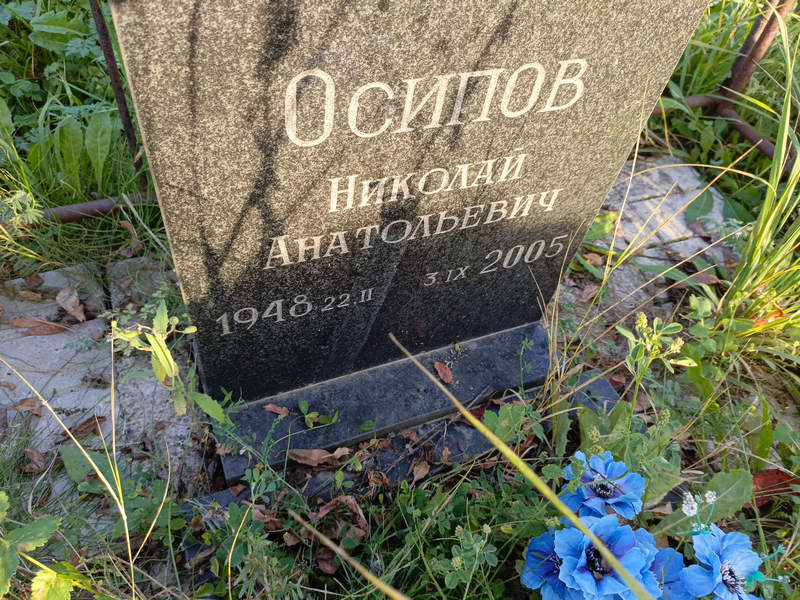 Осипов
