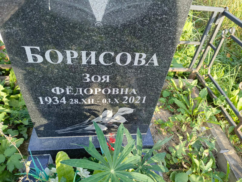 Борисова