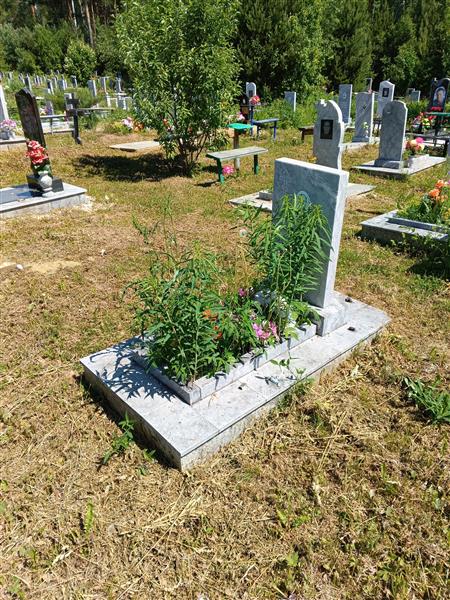 Завертяев Виталий Дементьевич