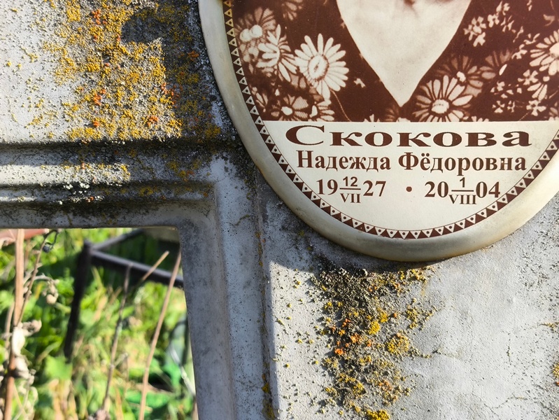 Скокова