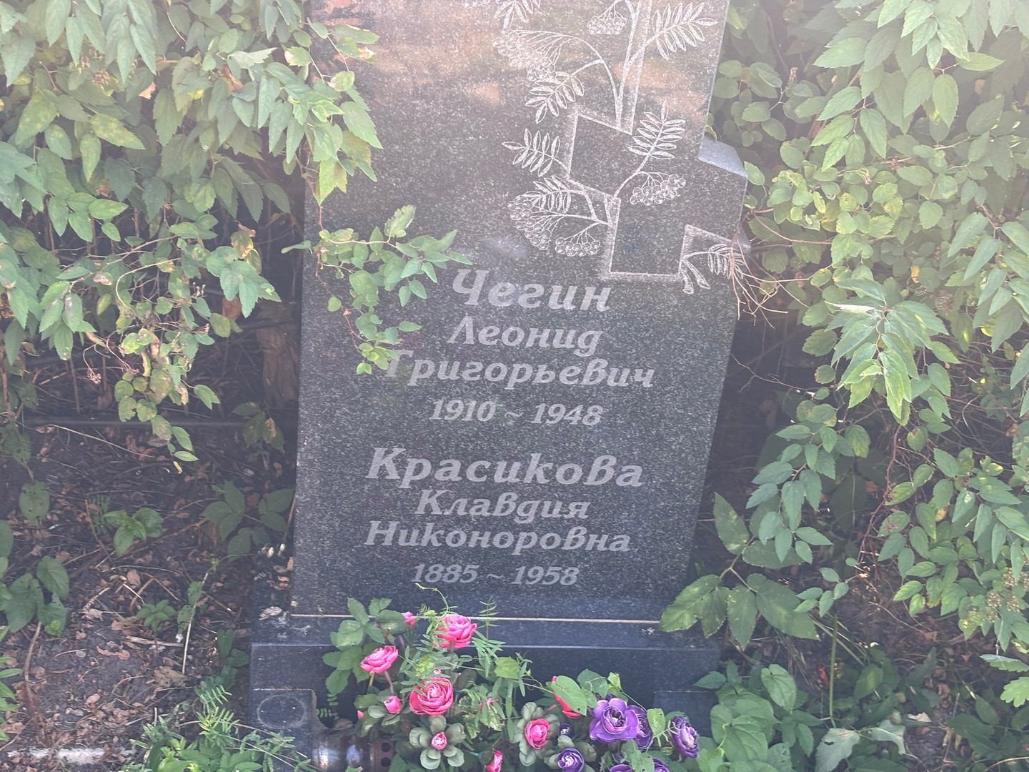 Чегин
