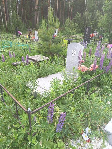 Сафронов Виталий Степанович