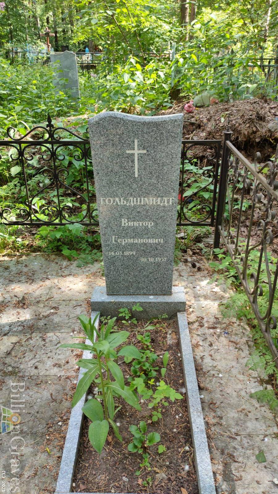 Гольдшмидт Виктор Германович