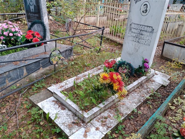 Новоселов Анатолий Дмитриевич