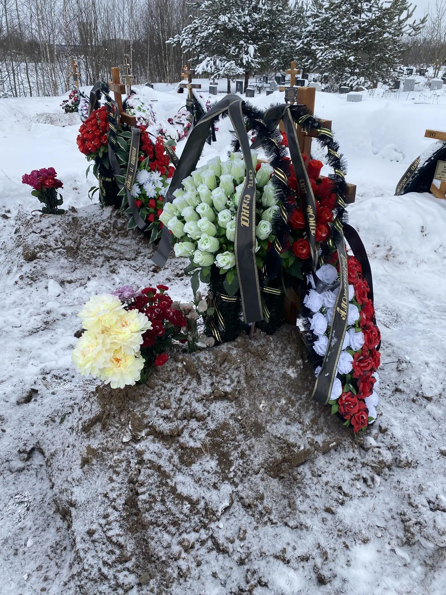 Гусев