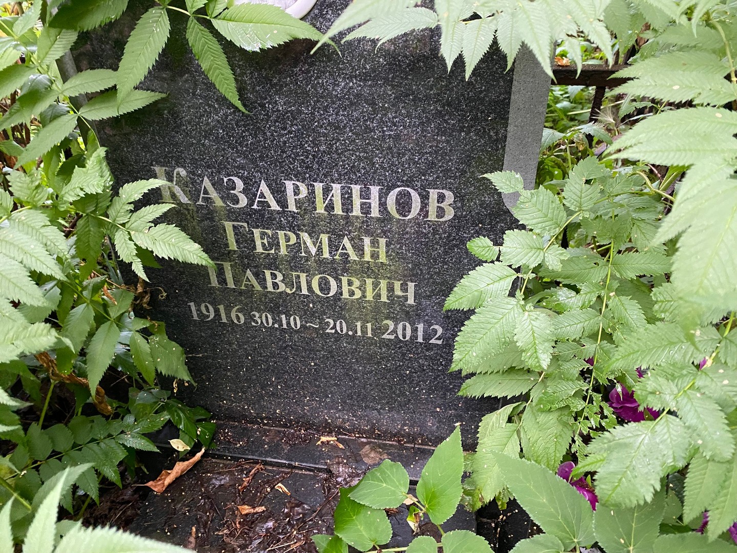 Герман Казаринов Павлович