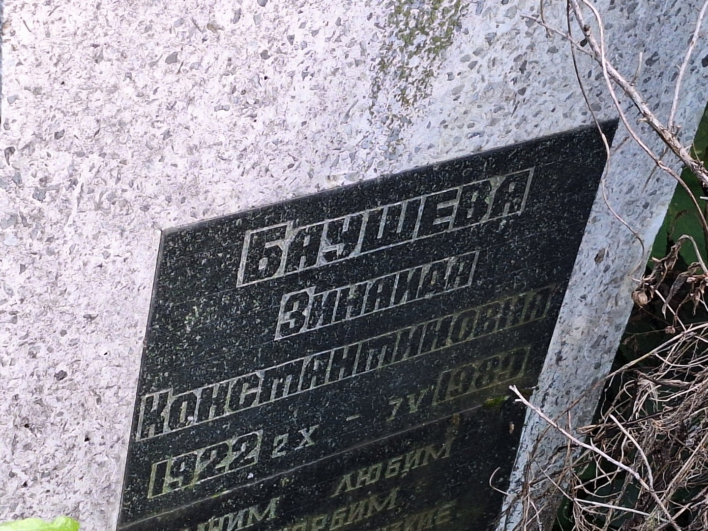 Баушева