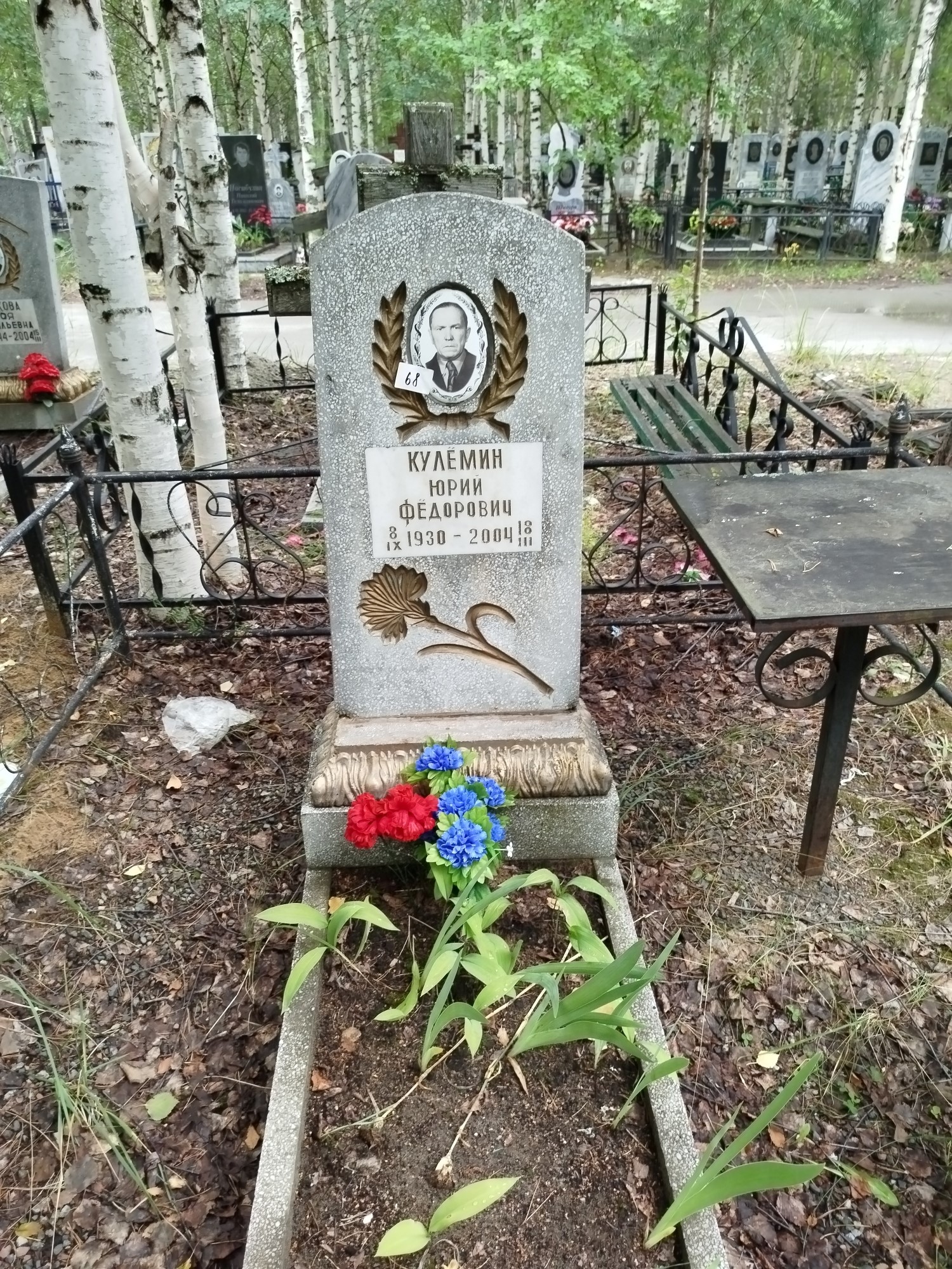 Кулемин Юрий Федорович