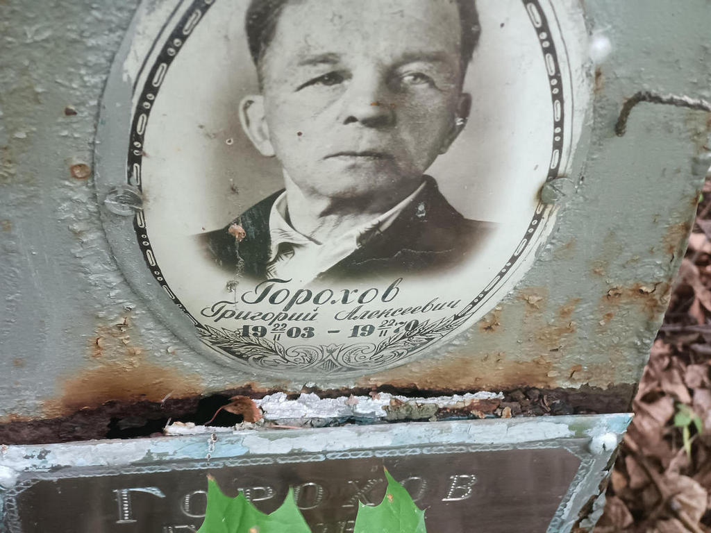 Горохов Григорий Алексеевич