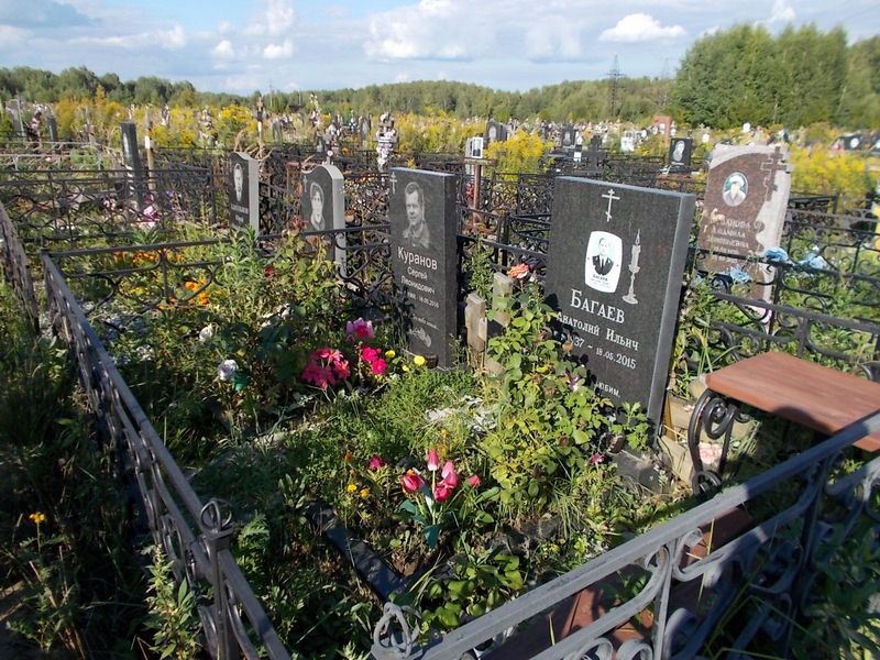 Багаев Анатолий Ильич