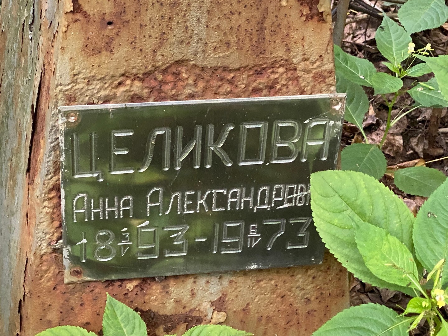 Целикова
