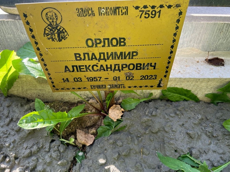 Орлов