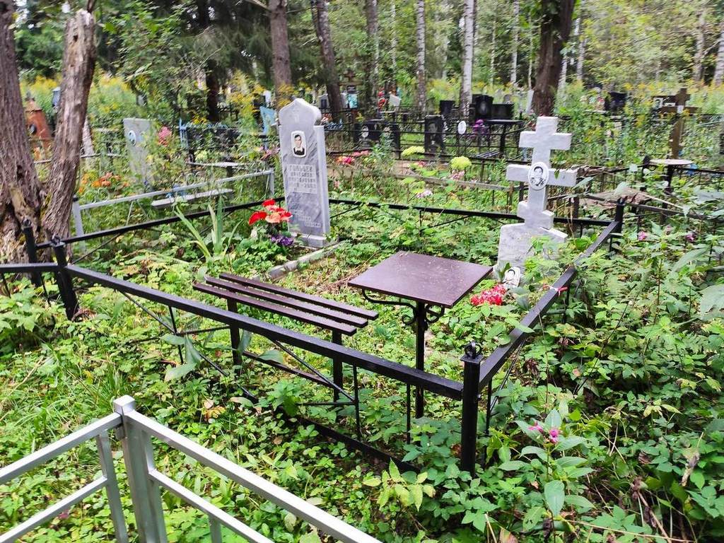 Гольцев Вячеслав Викторович