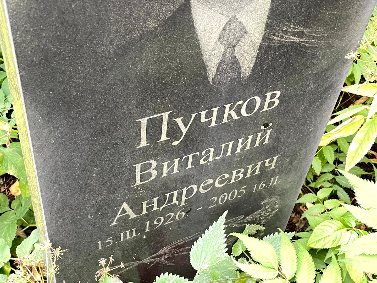 Пучков