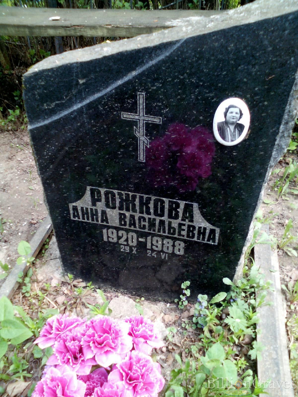 рожкова анна васильевна
