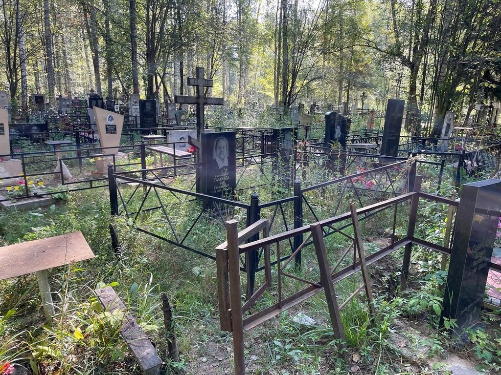 Гамаев Дмитрий Афанасьевич